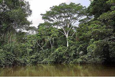 《琉隐无界》即将解锁 新武器重锤雷殇对战演示